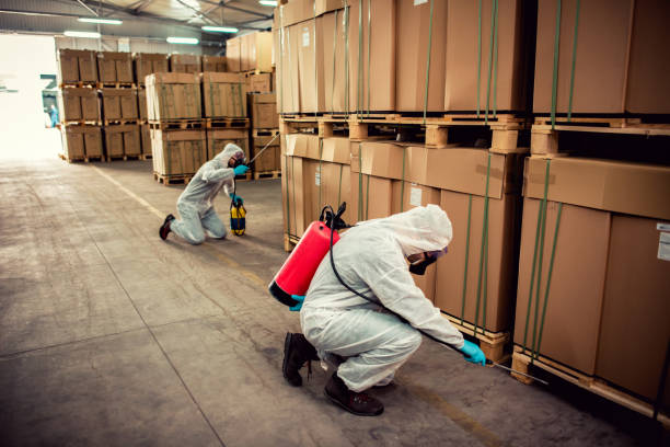 Best Local Pest Control Services  in Churchville, NY