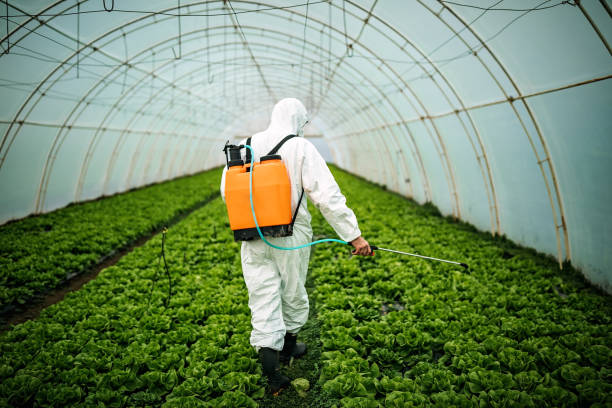 Best Residential Pest Control  in Churchville, NY