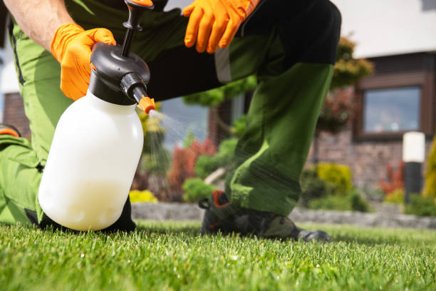 Best Pest Prevention Services  in Churchville, NY