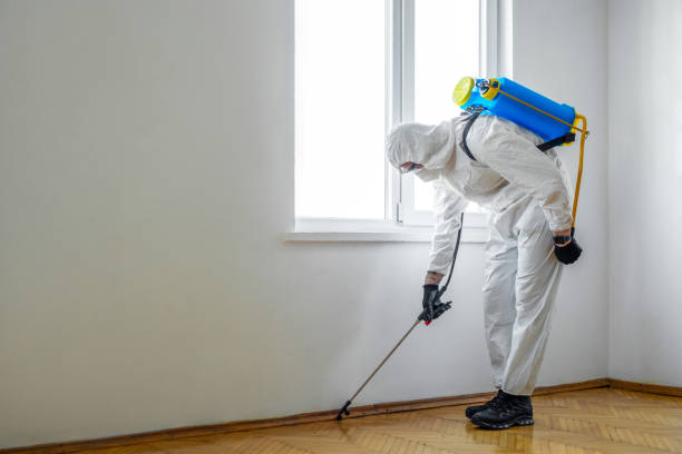 Wildlife Control Services in Churchville, NY