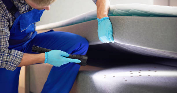 Best Cockroach Control Services  in Churchville, NY