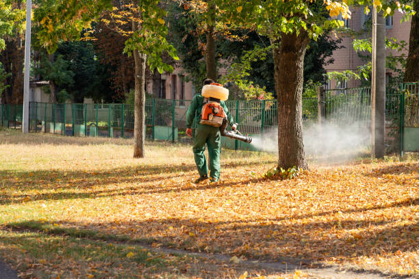 Best Termite Control Services  in Churchville, NY