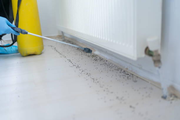 Trusted Churchville, NY Pest Control Experts